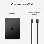 iPad Pro M5 11 pouces 256 Go Wi-Fi Noir