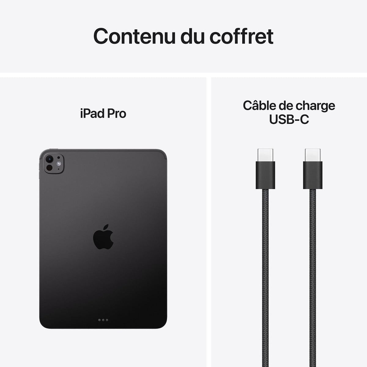 iPad Pro M5 11 pouces 256 Go Wi-Fi + Cellular | Noir