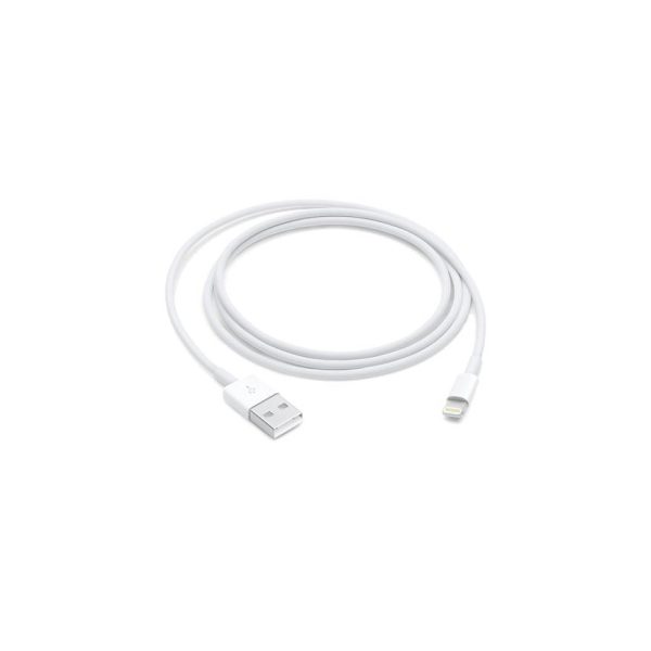 Câble Lightning vers USB 1 m – chargeur et transfert de données pour iPhone et iPad