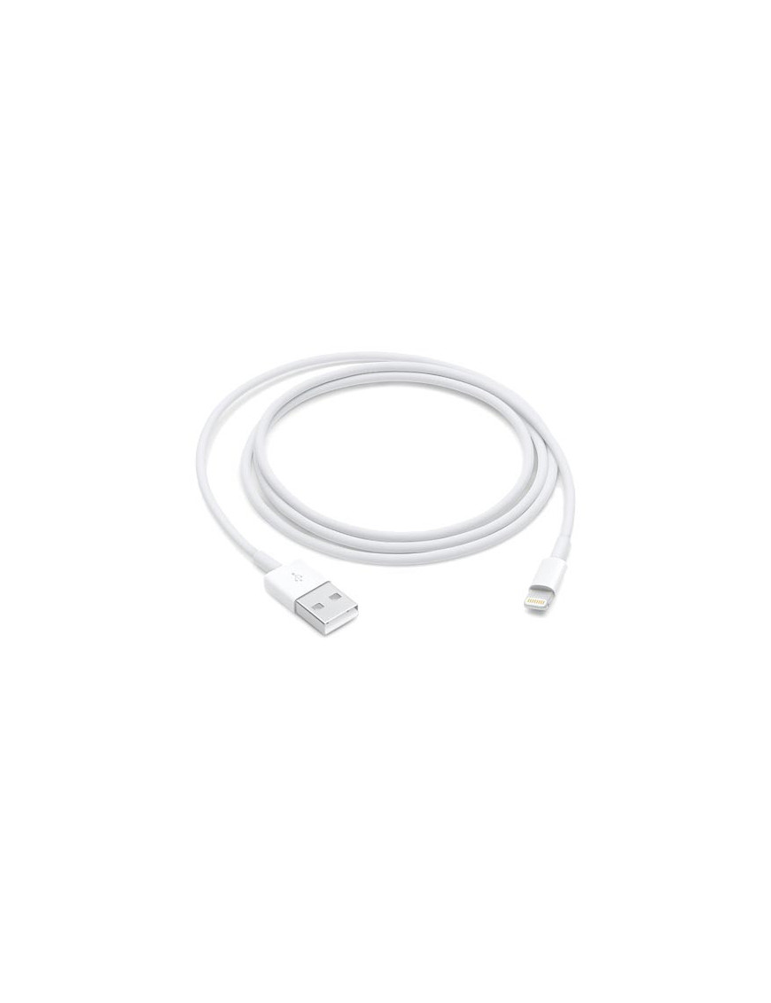 Câble Lightning vers USB 1 m – chargeur et transfert de données pour iPhone et iPad